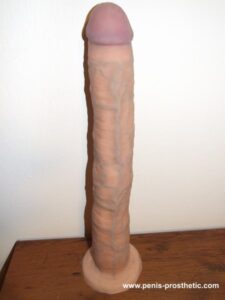 Enlargement penis prosthetic