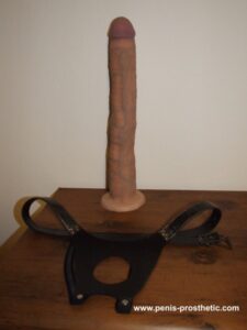 Enlargement penis prosthetic